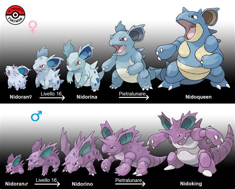 what does nidoran evolve into.